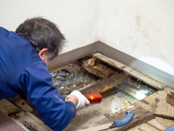 Water Damage Restoration in Queens Gate, PA