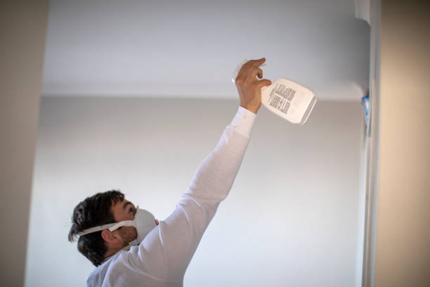 Best Professional Mold Removal  in Queens Gate, PA