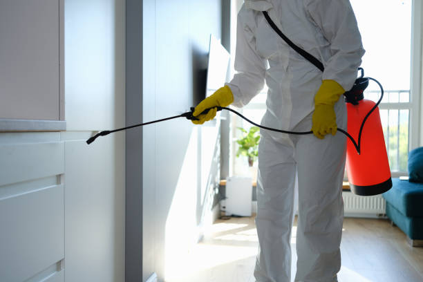 Mold Removal and Inspection in Queens Gate, PA